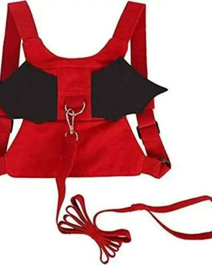 Toddler Explorer Safety Harness with Leash and Backpack Combo