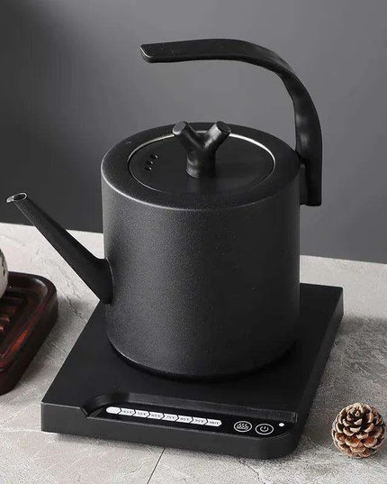 Elegant Precision Electric Kettle with Quick Boil and Temperature Settings