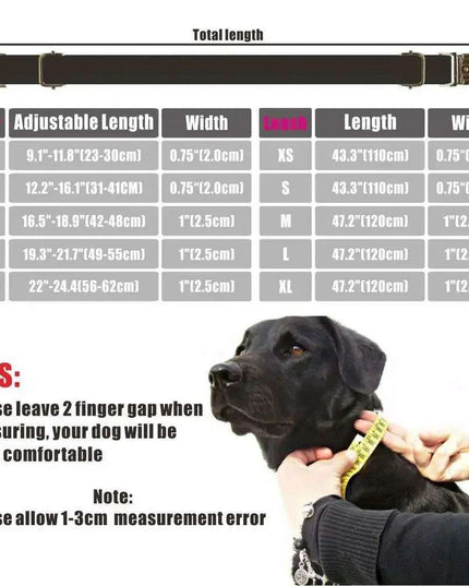 Personalized Luxury Velvet Dog Collar with Engraved Name Tag and Matching Leash