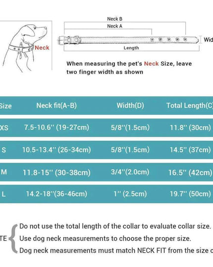 Glamorous Personalized Engraved Leather Dog Collar with Sparkling Accents