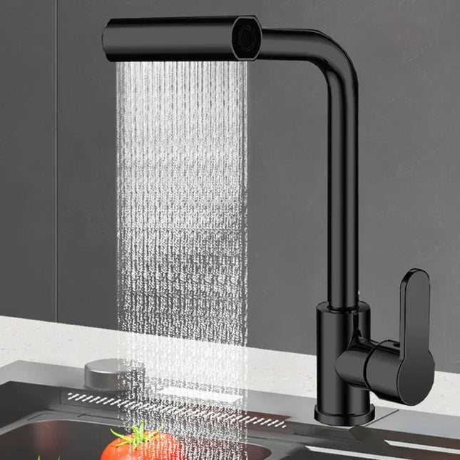 Stainless Steel Kitchen Faucet with 360° Rotating Spray Head
