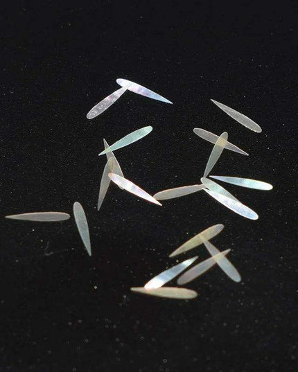 Colorful Natural Abalone Shell Fish Tail Pieces - 10Pcs Mother of Pearl for Crafting and Guitar Inlays