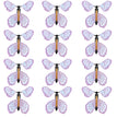 12PCS #4
