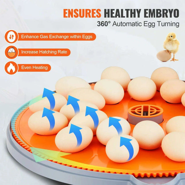 Smart Egg Incubator with Superior Temperature and Humidity Regulation