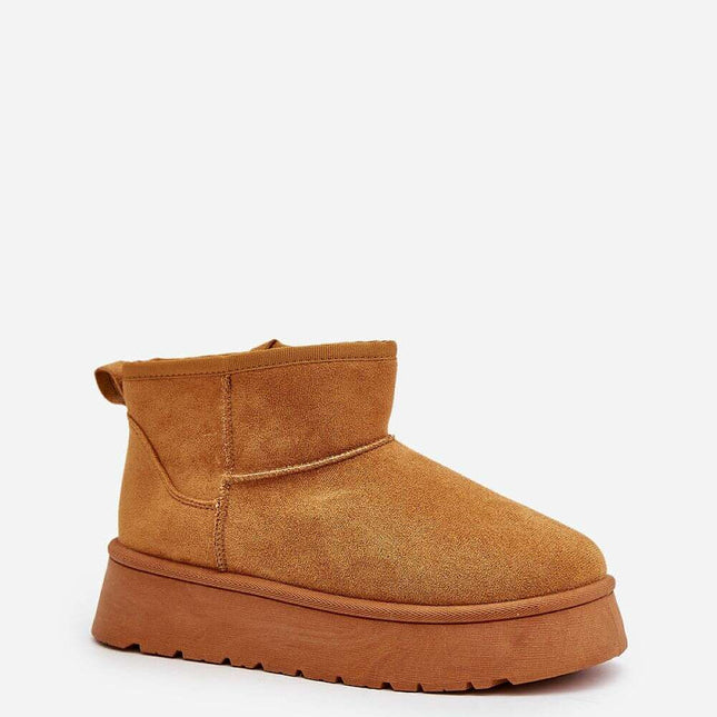 Snow boots model 202211