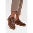 brown / 36