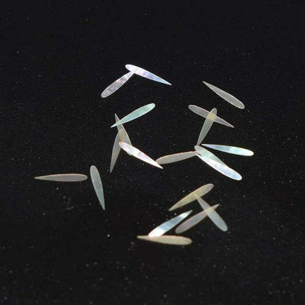 Stunning Natural Abalone Shell Fish Tail Pieces for Creative Jewelry and Instrument Inlays - Très Elite