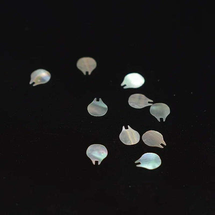 Stunning Natural Abalone Shell Fish Tail Pieces for Creative Jewelry and Instrument Inlays - Très Elite