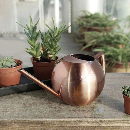 Stylish Stainless Steel Watering Can with Extended Spout - Perfect for Plant Nurturing..