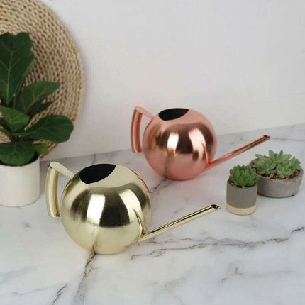 Stylish Stainless Steel Watering Can with Extended Spout - Perfect for Plant Nurturing..