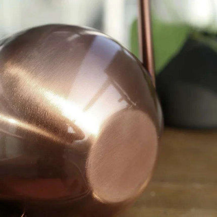 Stylish Stainless Steel Watering Can with Extended Spout - Perfect for Plant Nurturing..