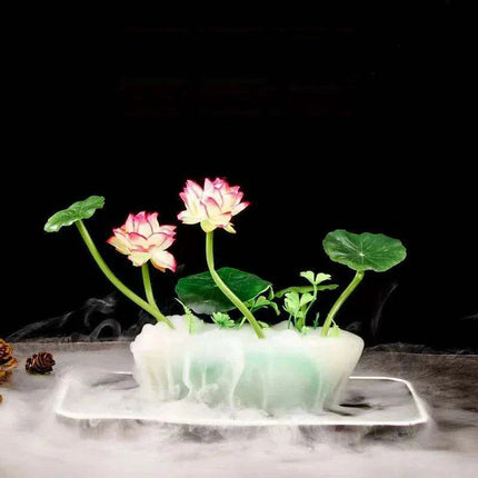 Sushi Masterpiece: Exquisite Dry Ice Presentation Accents - Très Elite