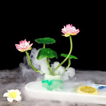 Sushi Masterpiece: Exquisite Dry Ice Presentation Accents - Très Elite