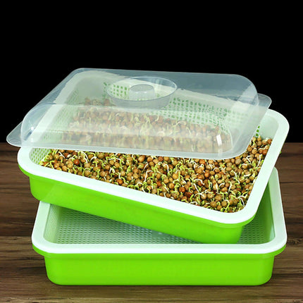Sustainable Home Sprout Growing Kit - Easy Green & White Seed Tray Solution..
