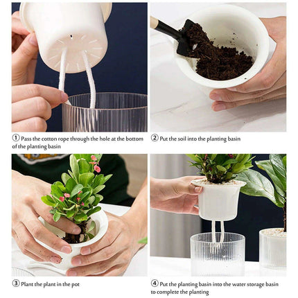 Transparent Self-Watering Indoor Planter with HD Water Level Monitoring..