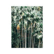 13x18 cm No Frame / PB13616