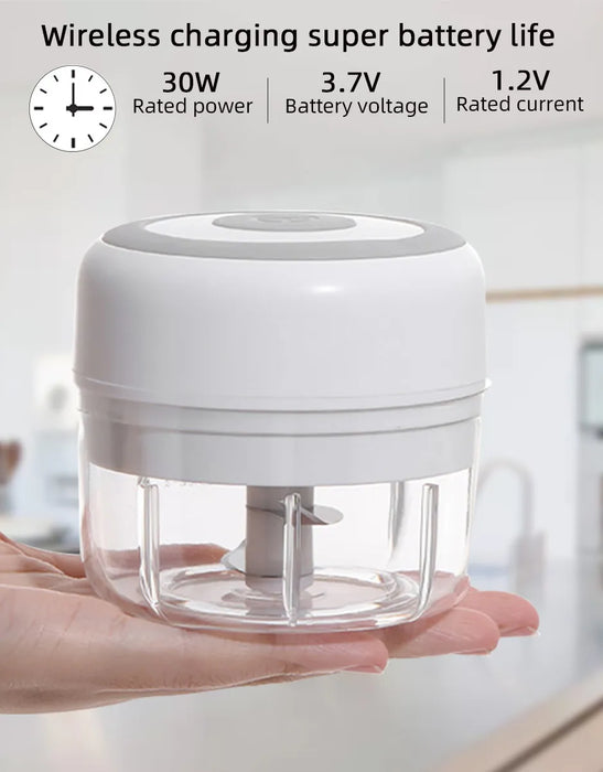 Compact Electric Garlic and Food Chopper with 100/250ml Capacity