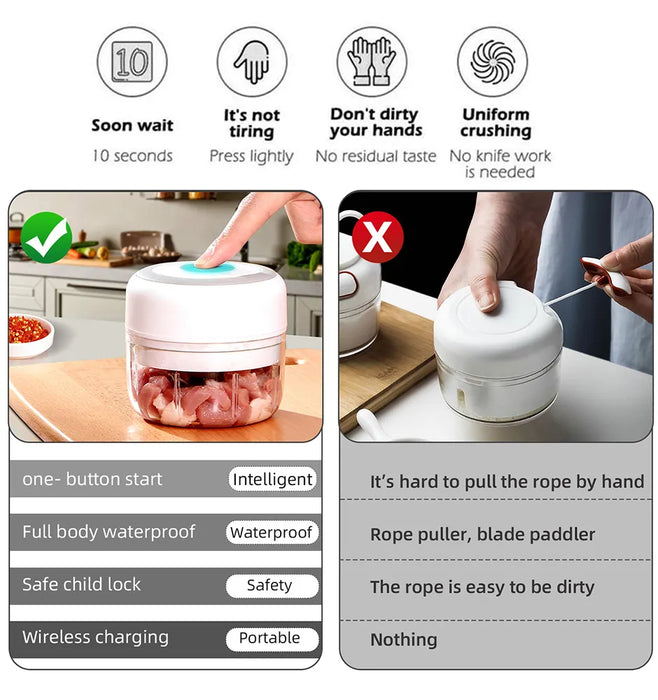 Compact Electric Garlic and Food Chopper with 100/250ml Capacity