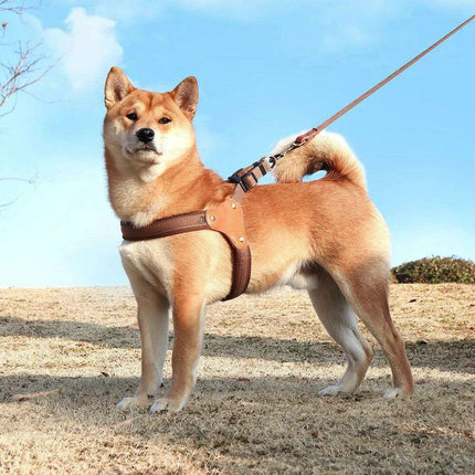 Ultimate Adjustable Nylon Dog Harness - Comfort Vest for All Breeds - Très Elite