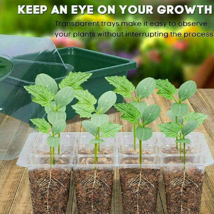 Ultimate Plant Growth Booster Kit for Bonsai, Blooms, and Herbs - Très Elite
