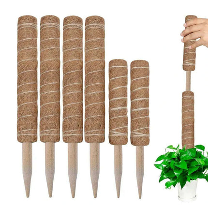 Vertical Garden Climbing Support Kit - Eco-Friendly Growth Solution for Indoor Plants - Très Elite