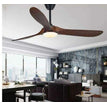 Model 1 with light / 60 inch