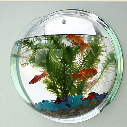 Wall-Mounted 15cm Clear Acrylic Aquarium for Modern Home Aesthetics. wall-mounted-15cm-clear-acrylic-aquarium-for-modern-home-aesthetics Home Décor›Decorative Accents›Planters, Pots & Vases›Planters