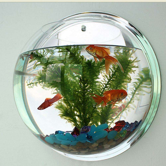 Wall-Mounted 15cm Clear Acrylic Aquarium for Modern Home Aesthetics