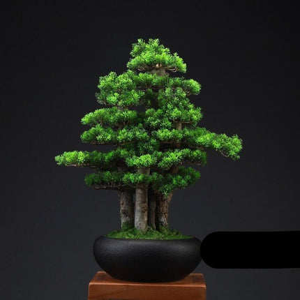 Zen Serenity Artificial Bonsai - An Exquisite Touch of Timeless Beauty