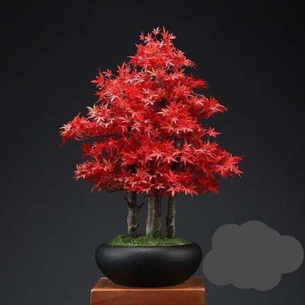 Zen Serenity Artificial Bonsai - An Exquisite Touch of Timeless Beauty