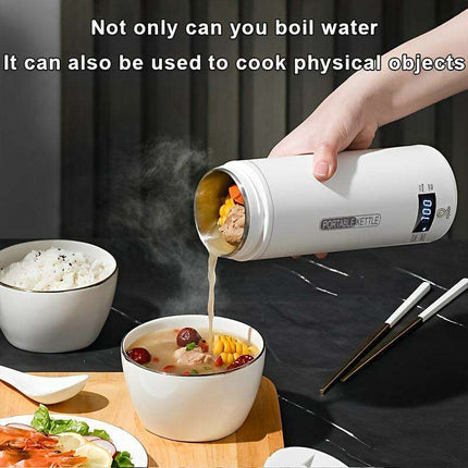 Travel-Friendly 500ml Electric Water Boiler