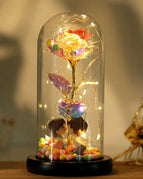 Colorful Gold Foil Lovers No 1