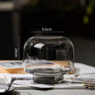 Smoke Gray / Small / Glass