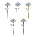 5 Colorful Roses In A Pack