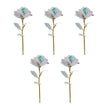 5 Colorful Roses In A Pack