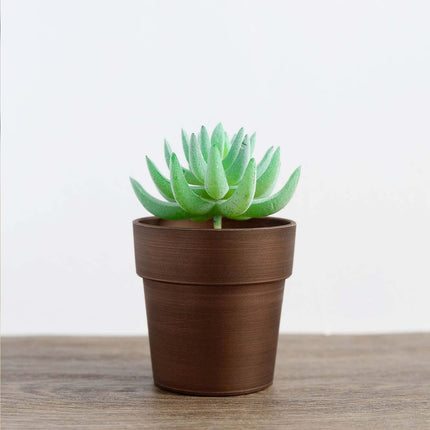 AliKopy 3-Pack Rustic Brown Small Flower Plant Pots - Durable Plastic,