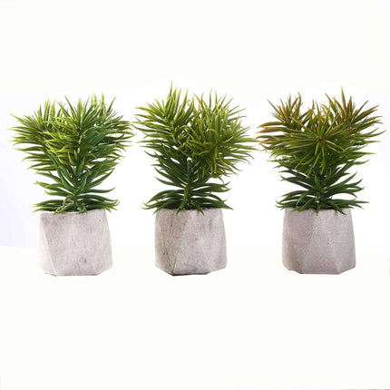 AliKopy 3-Pack Crassula Artificial Succulents in Stylish Ceramic Pots
