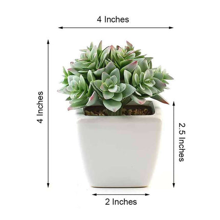 AliKopy 3-Pack Echeveria Artificial Succulents - Lifelike Faux Plants