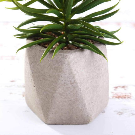 AliKopy 3-Pack Crassula Artificial Succulents in Stylish Ceramic Pots