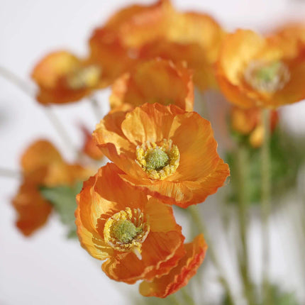 AliKopy 33" Orange Artificial Silk Poppy Flower Bouquet - 2 Stems, Rea