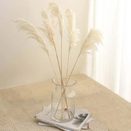 AliKopy 6 Stems Dried Pampas Grass - Off White, 32" for Boho Decor