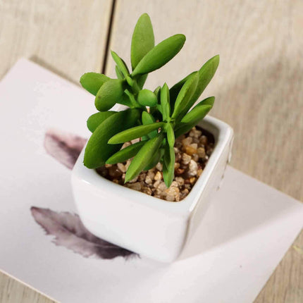 AliKopy 3-Pack Mini Jade Artificial Succulents - Lifelike Ceramic Pots