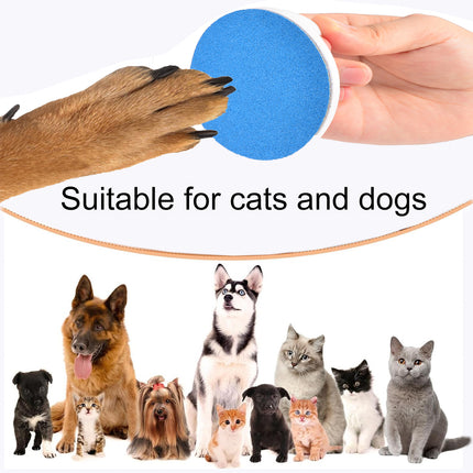 Dog Scratching Board And Slow Feeding Toy Nail File Puzzle For Dogs