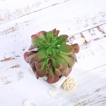 AliKopy 3-Pack Lifelike Artificial Succulents in Ceramic Pots - 5