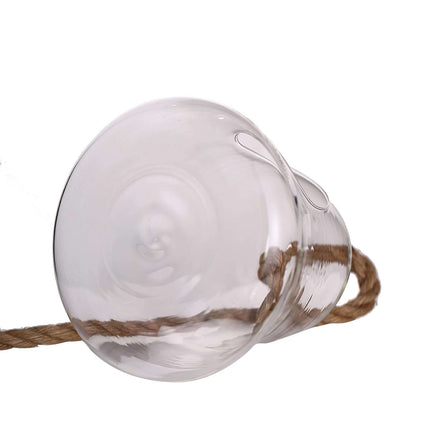 AliKopy Glass Terrarium - 9" Hanging Bell Design for Air Plants