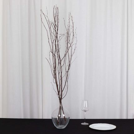 AliKopy 6-Pack 46" Natural Birch Branches - Versatile Decorative Stick