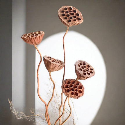 Elegant Dried Lotus Pod Set - 5 Unique Floral Ornaments