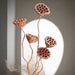 Elegant Natural Dried Bonsai Lotus Pods - Bundle of 5 Exquisite Floral Ornaments