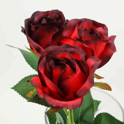 AliKopy 31" Long Stem Artificial Silk Roses, 24 Pcs, Red & Black Tips