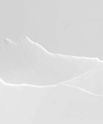 bravity Daily STEMCELL Ampoule Lotion 100g- Très Elite- Très Elite